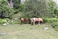 (35) Ballade à Sanchèse